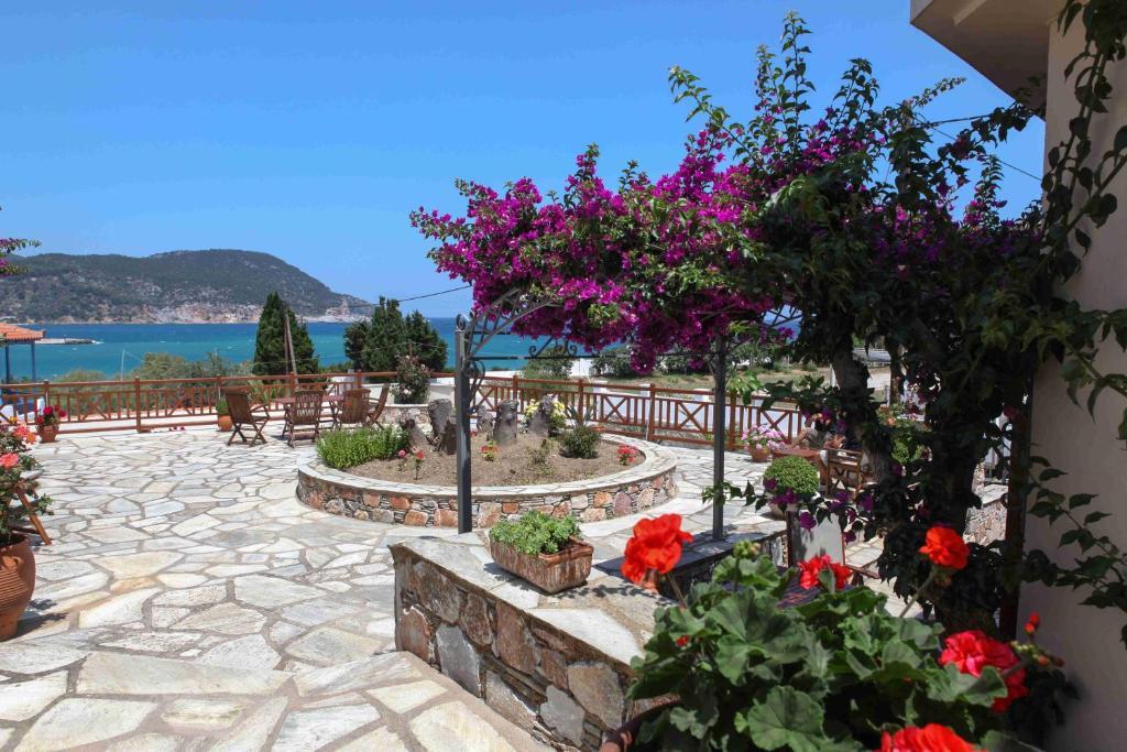 Pleoussa Studio And Apartments Skopelos Eksteriør billede